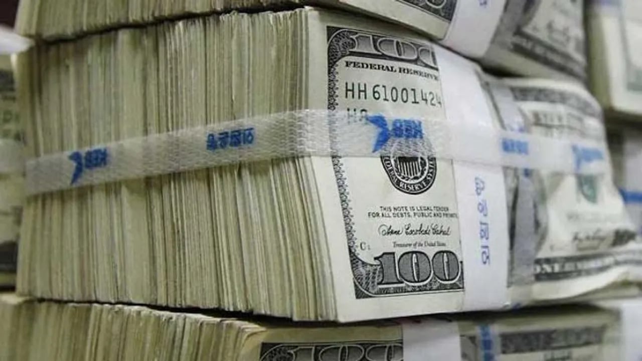 11 milyon dolardan fazla para ve altın ele geçirildi