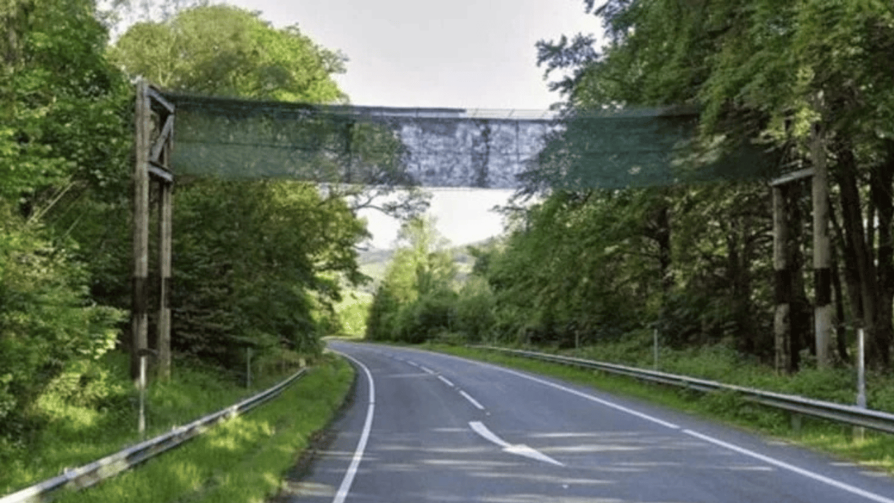 13 yıllık otoyol gizemi çözüldü: Badminton filesi sandılar, gerçek bambaşka çıktı