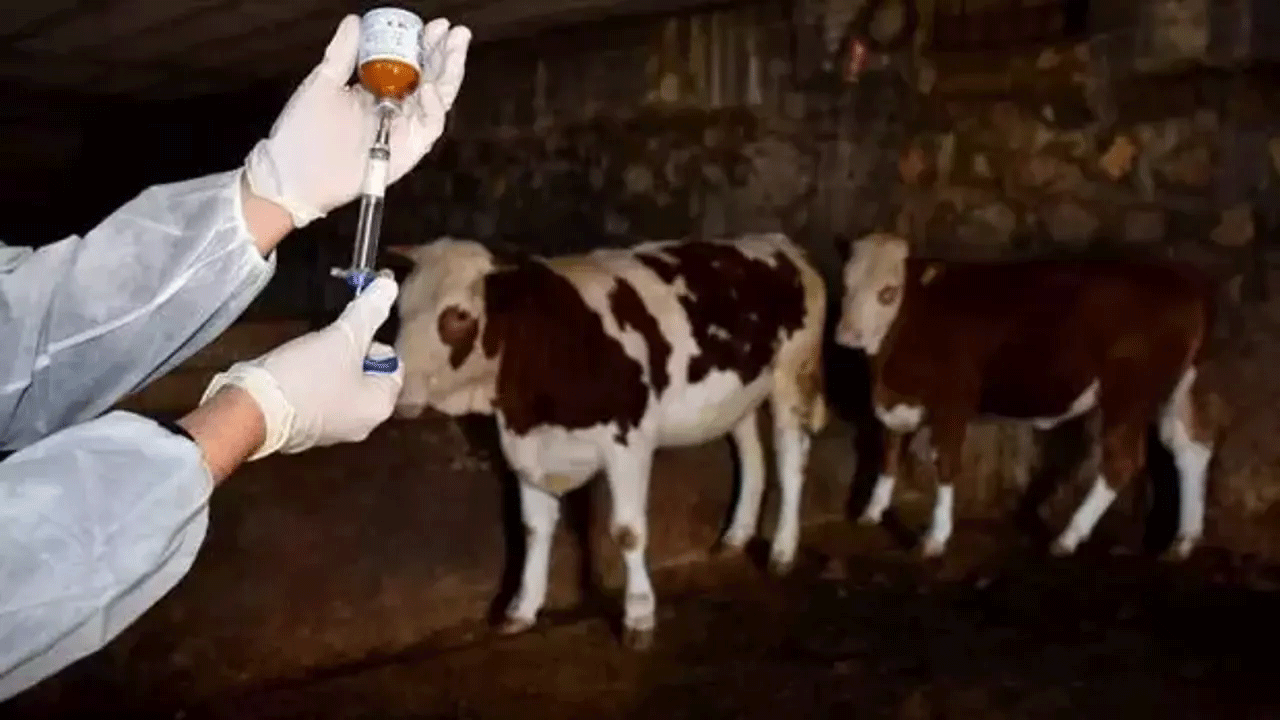 15 köy için karantina kararı!