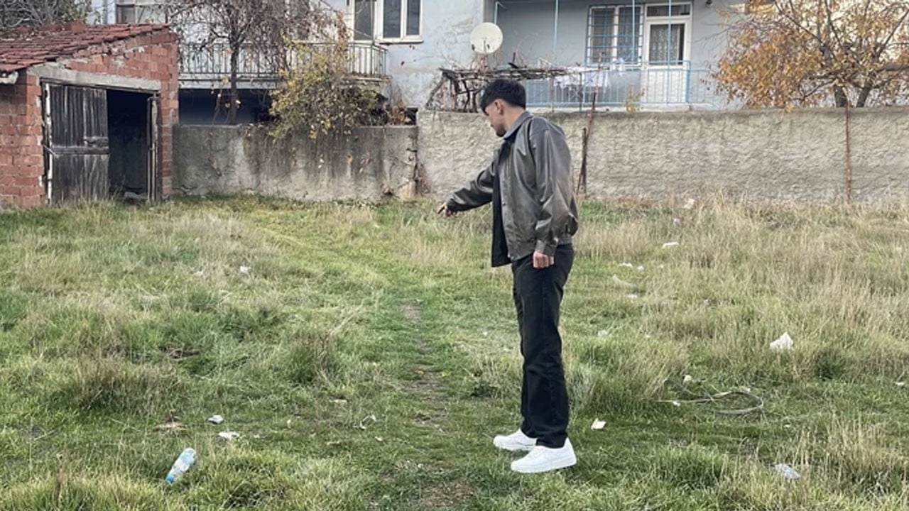 8 kedi vahşice katledildi