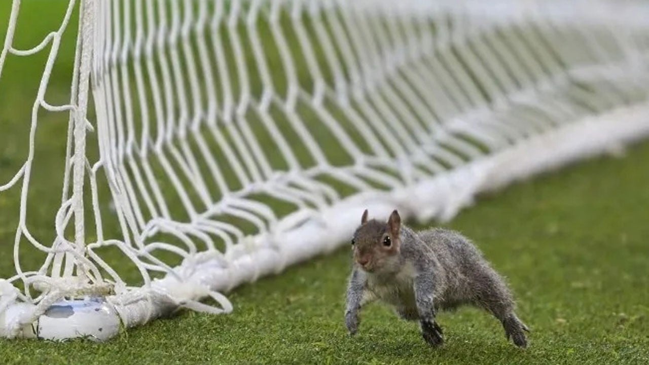 Acun’a sincap darbesi! Takımı 3-2 yenildi