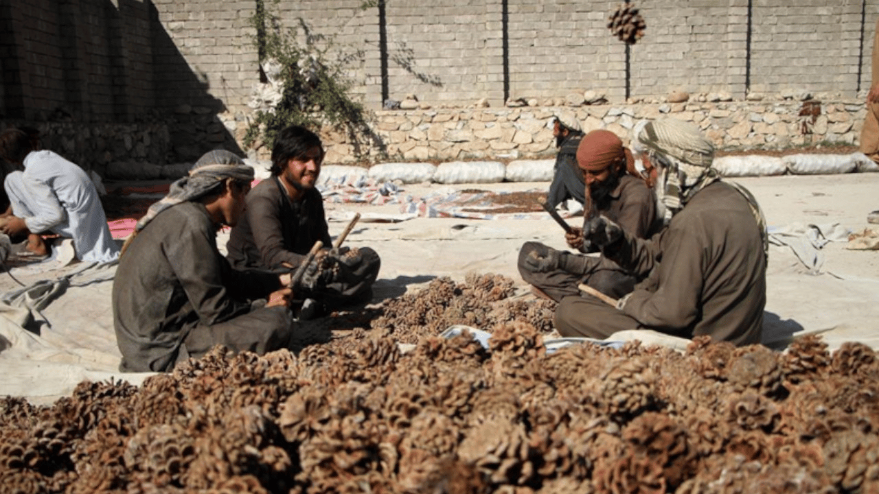 Afganistan’dan ihracat rekoru!