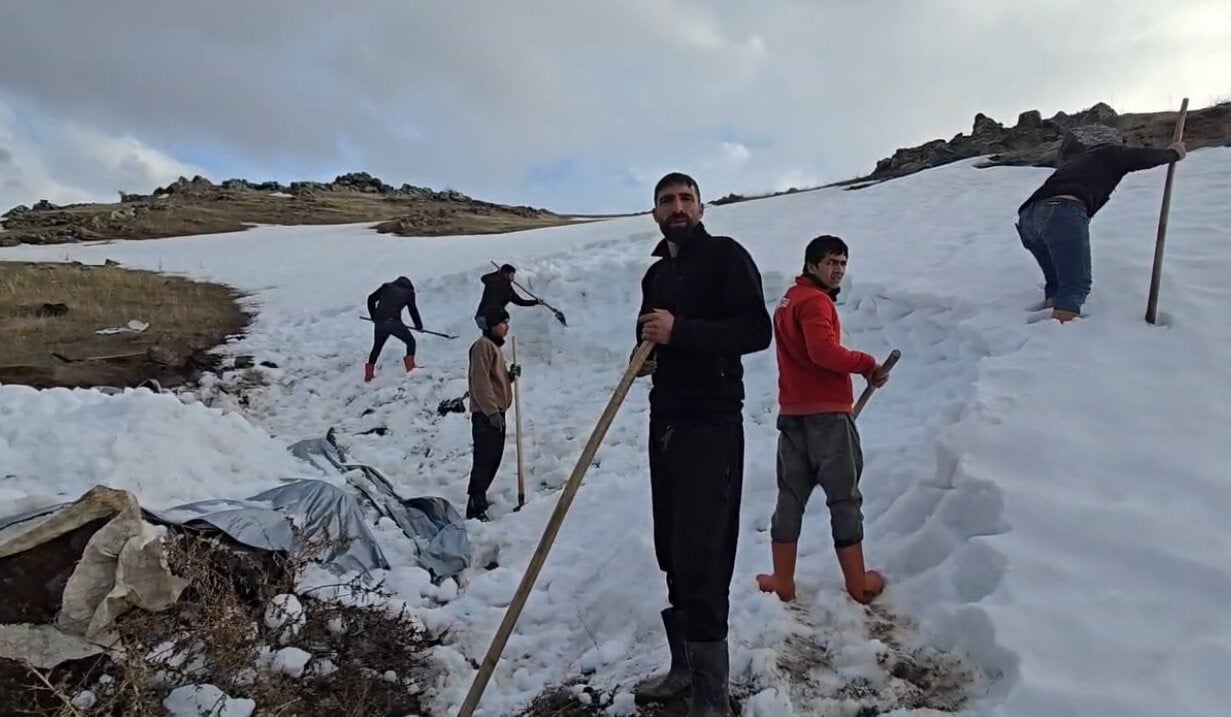 Ağrı Dağı’nın kar depoları! Besicilerden susuzluğa geleneksel çözüm