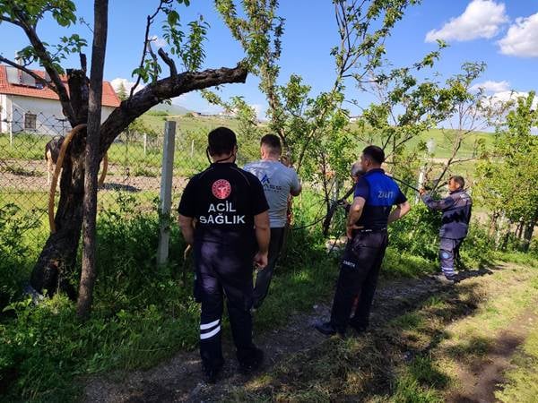 Akyurt’ta kaçan kurbanlık dana yakalandı
