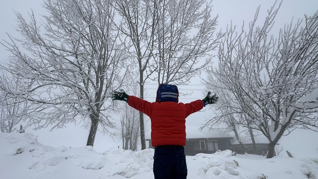 Aman dikkat! O ilde okul tatili kararı
