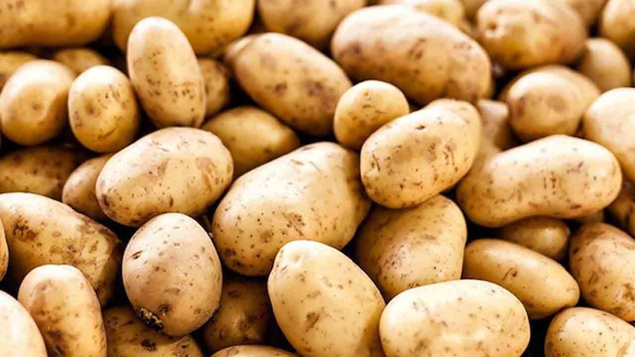 Andlar’dan gelen genetik iz: Patatesle değişen insanlar