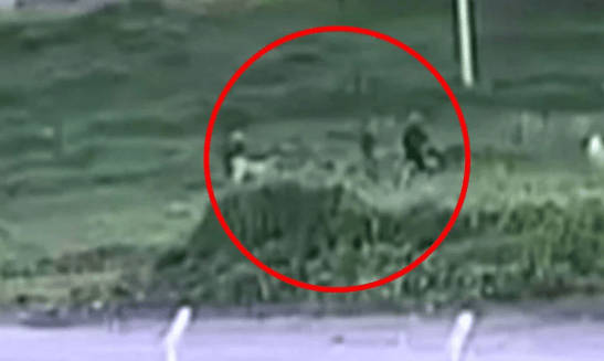 Ankara’da köpek kavgası dehşete dönüştü! Baba ve oğlundan komşuya demir çubuklu infaz girişimi