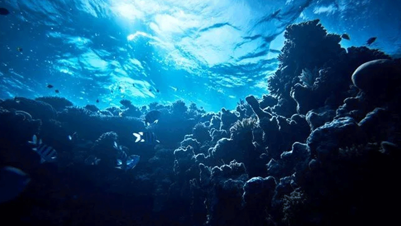 Antarktika’da şaşırtan keşif! Bilim insanları okyanus tabanından metan sızıntısı tespit etti