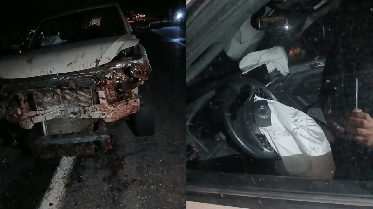 Araç koyun sürüsüne daldı 30 hayvan can verdi!