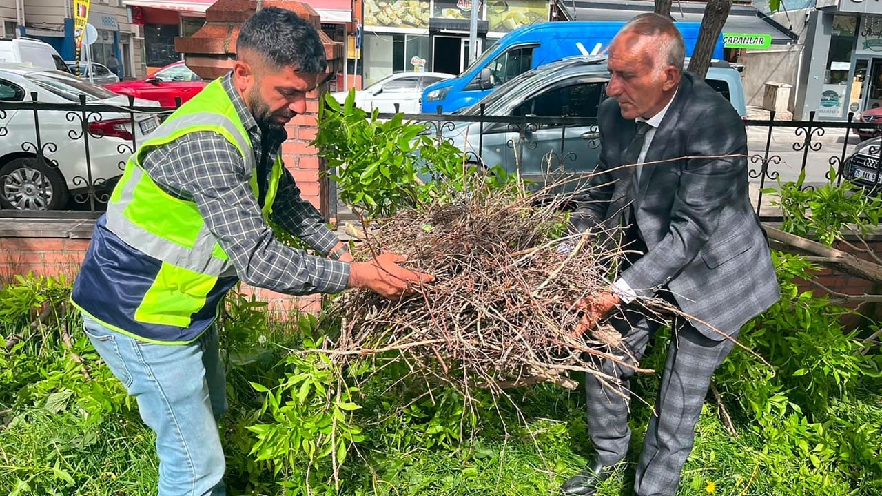 Ardahan’da karga yuvası böyle kurtarıldı