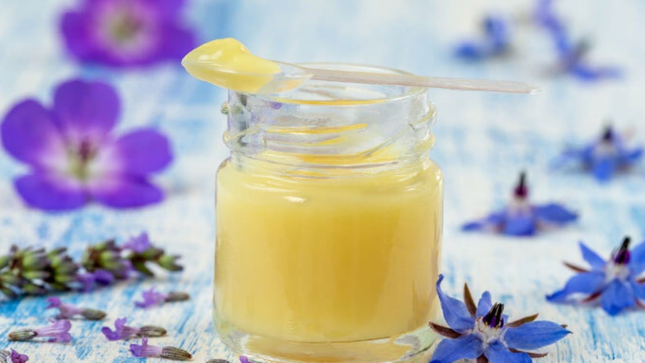 Arı sütü nedir, faydaları nelerdir? 