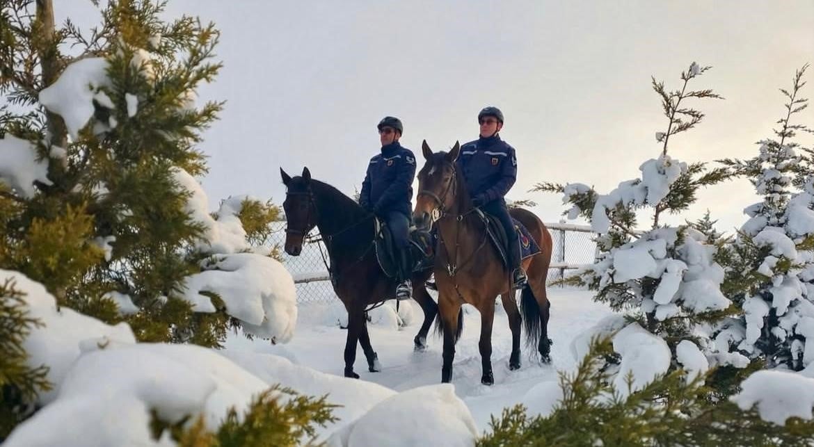 Atlı jandarmadan kış mesaisi!
