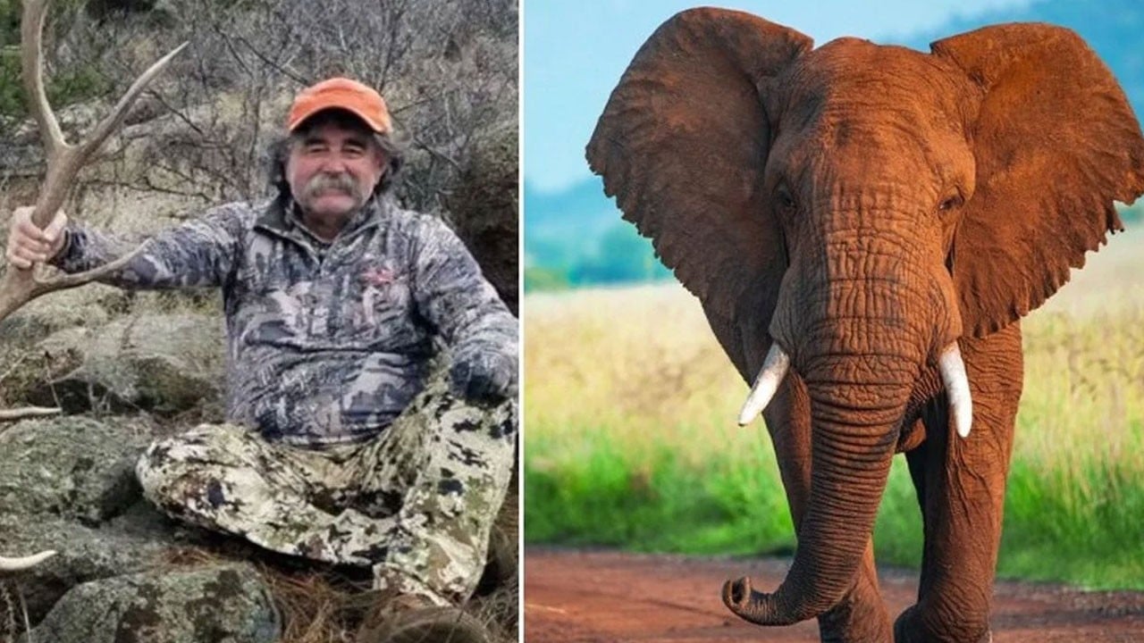 Ava giderken avlandı