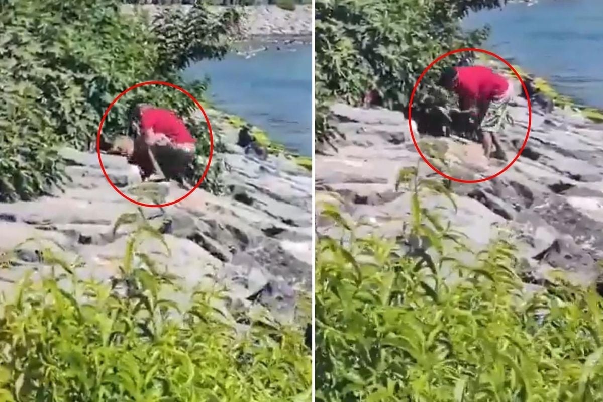 Avcılar sahilinde infiale yol açan olay! Köpeğe yaptığı şey “Yuh artık” dedirtti