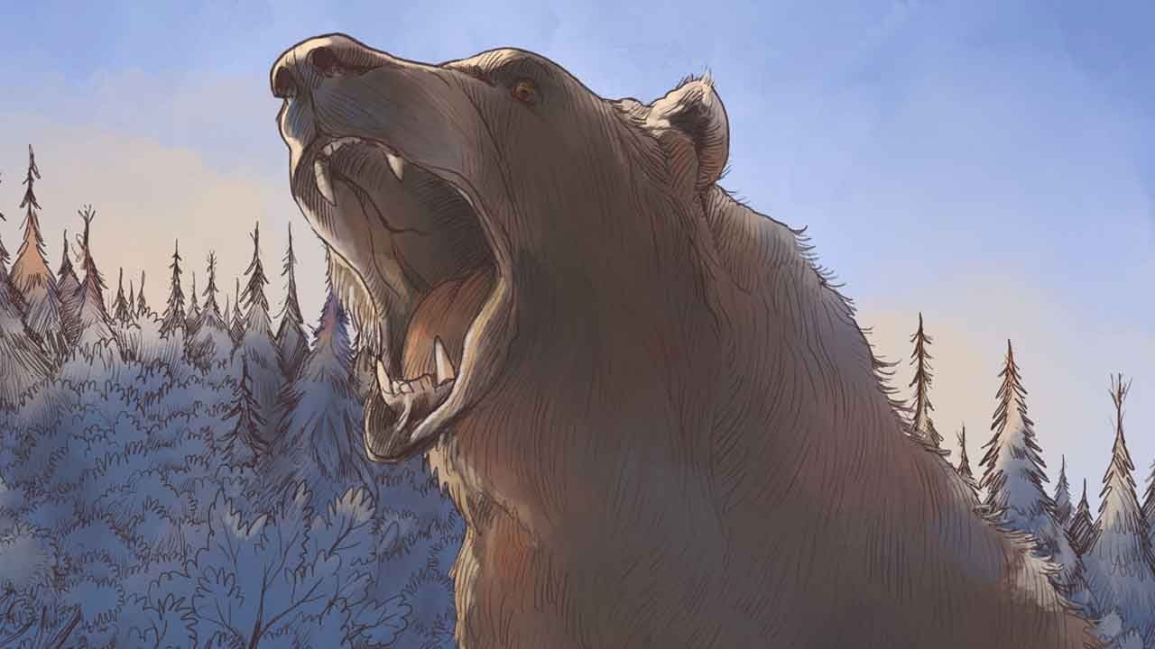 Ayılar 7 ayda 13 kişiyi öldürünce ‘vur’ izni çıktı