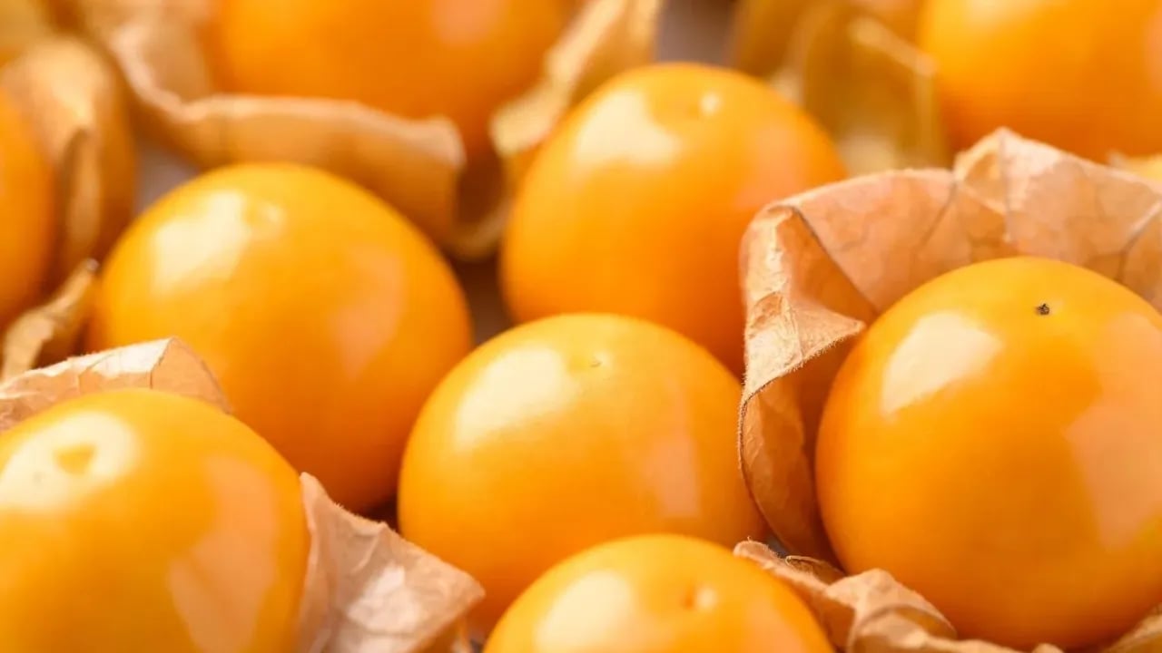 Az bilinen bu meyve umut olarak görülüyor!