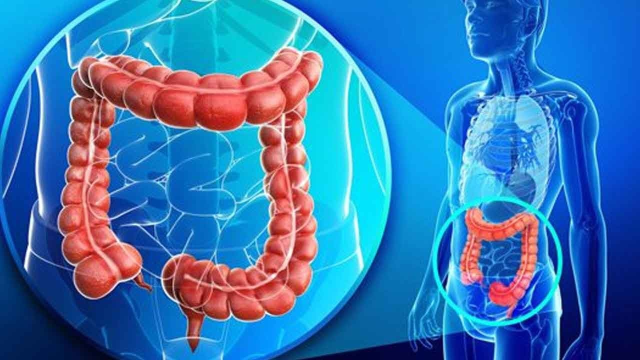 Bağırsaklarınız için süper güç! ‘Fibermaxxing’ ile kansere dur deyin