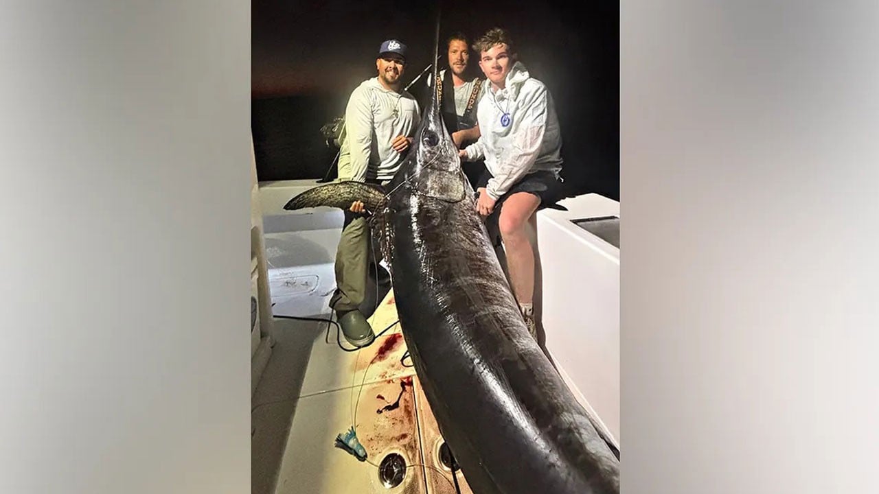 Balıkçının yakaladığı tek bir balık tüm kasabayı doyurdu