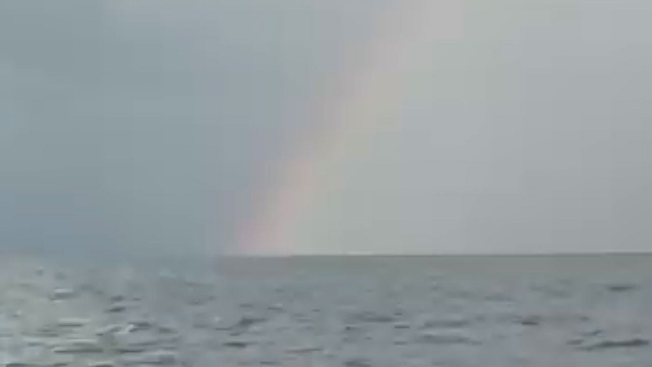 Bartın açıklarında nefes kesen anlar!