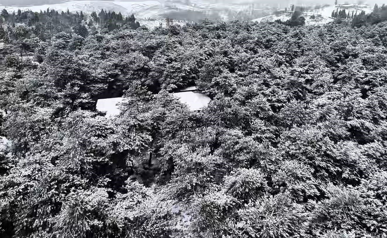 Başakşehir'de kış masalı! Şamlar Tabiat Parkı karla birlikte büyüledi!