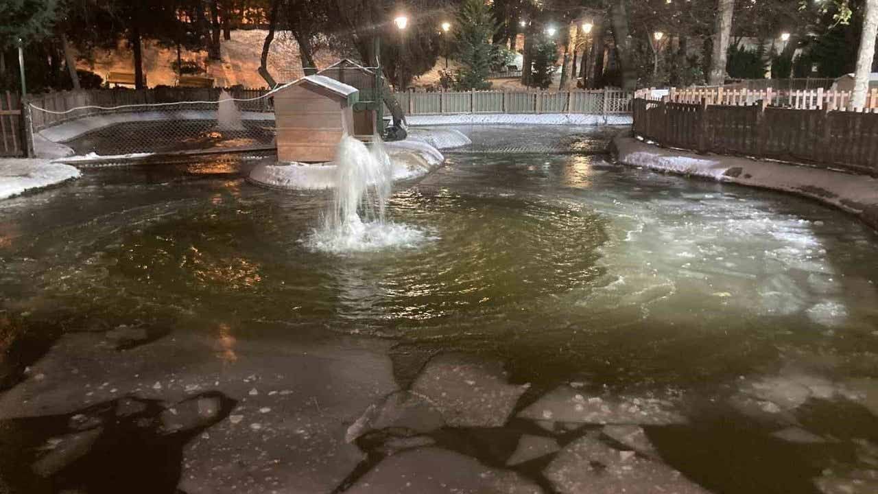 Başkentte Sibirya soğukları! Kuğulu Park buz tuttu: Ankara eksi 11 dereceyi gördü
