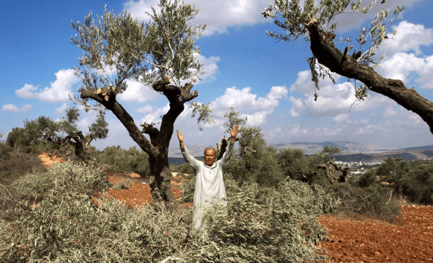 Batı Yaka'da tarıma ağır darbe!