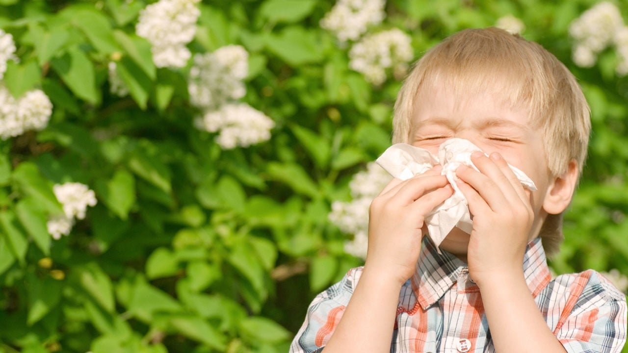 Belirtileri göz ardı etmeyin! Çocuğunuz art arda hapşırıyorsa dikkat