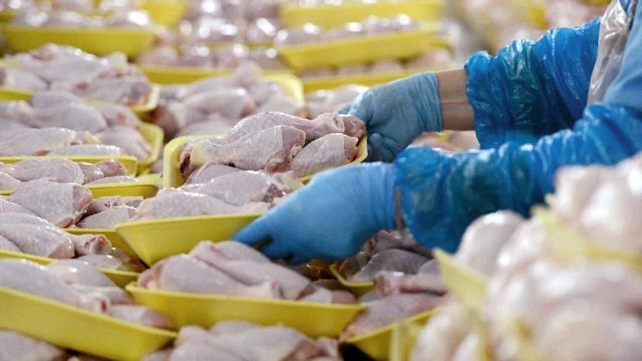 Beyaz ette fahiş fiyat denetimi! Marketlere milyonluk cezalar