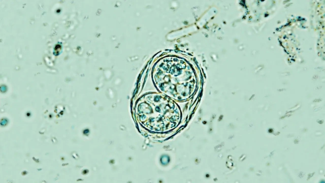 Beyin için yeni keşif umut veriyor: ‘sessiz parazit’e karşı kapatma düğmesi bulundu! İlişkin paylaşım