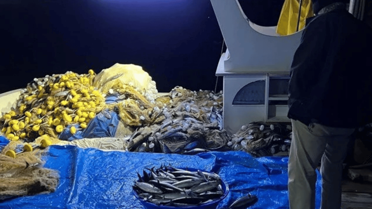 Bir gecede binlerce balık avladı