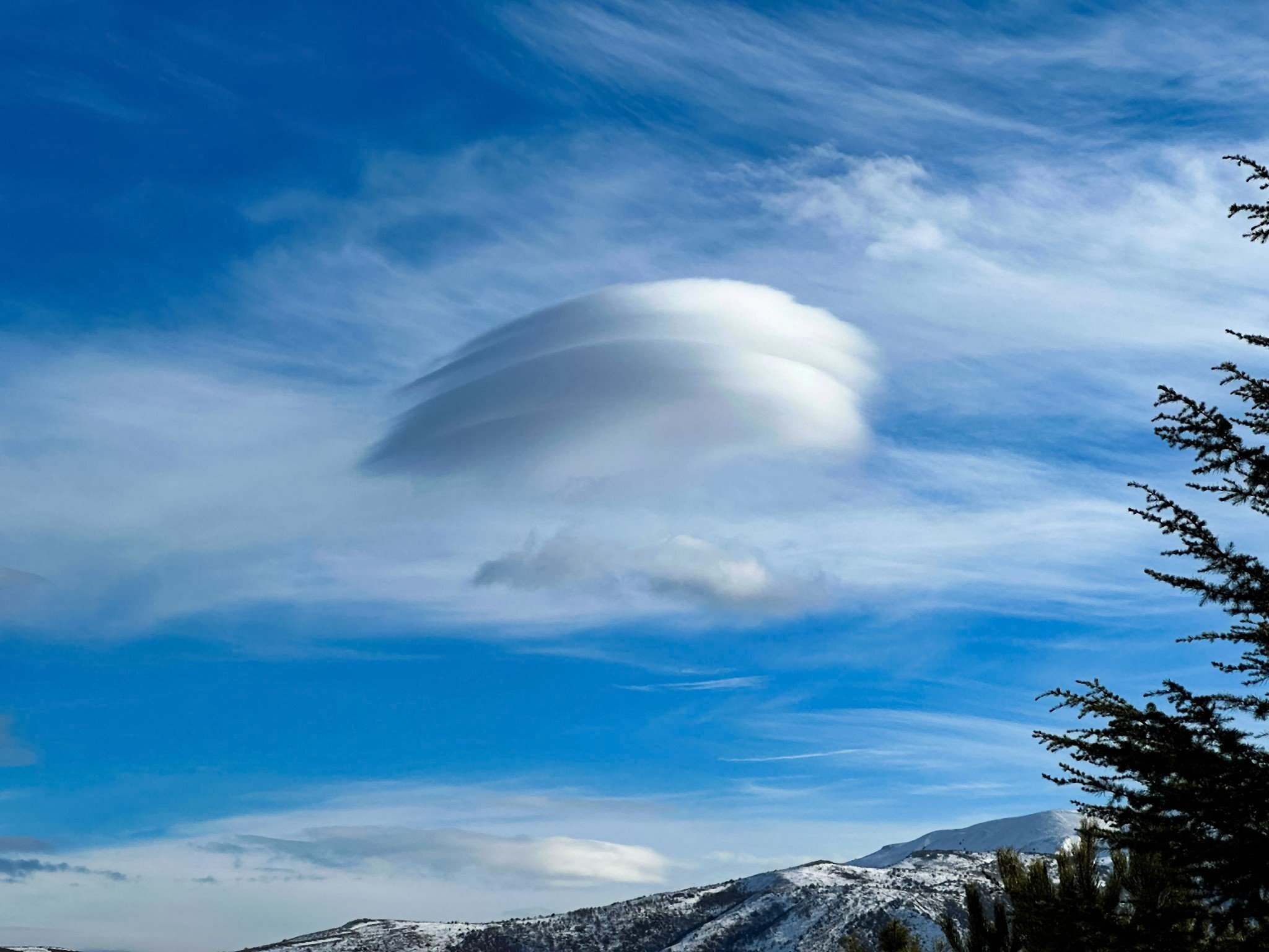 Bitlis semalarında görsel şölen