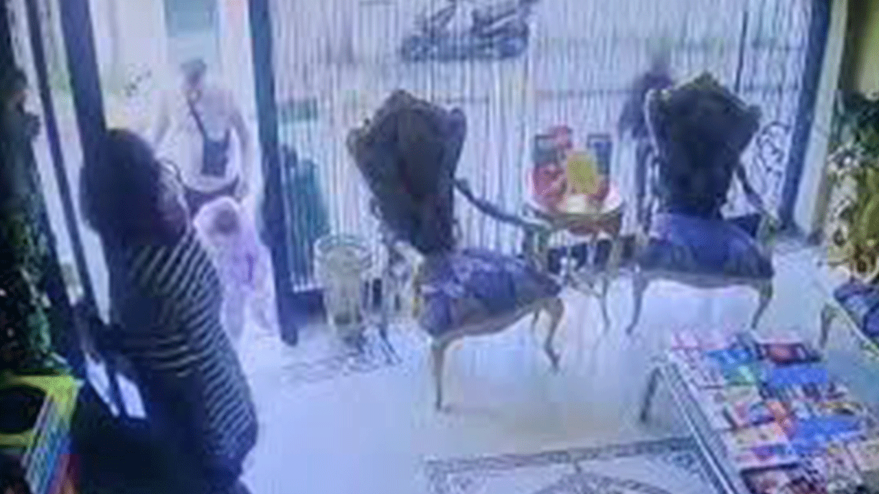 Böcek ailesinin ölümüyle ilgili yeni gelişme!