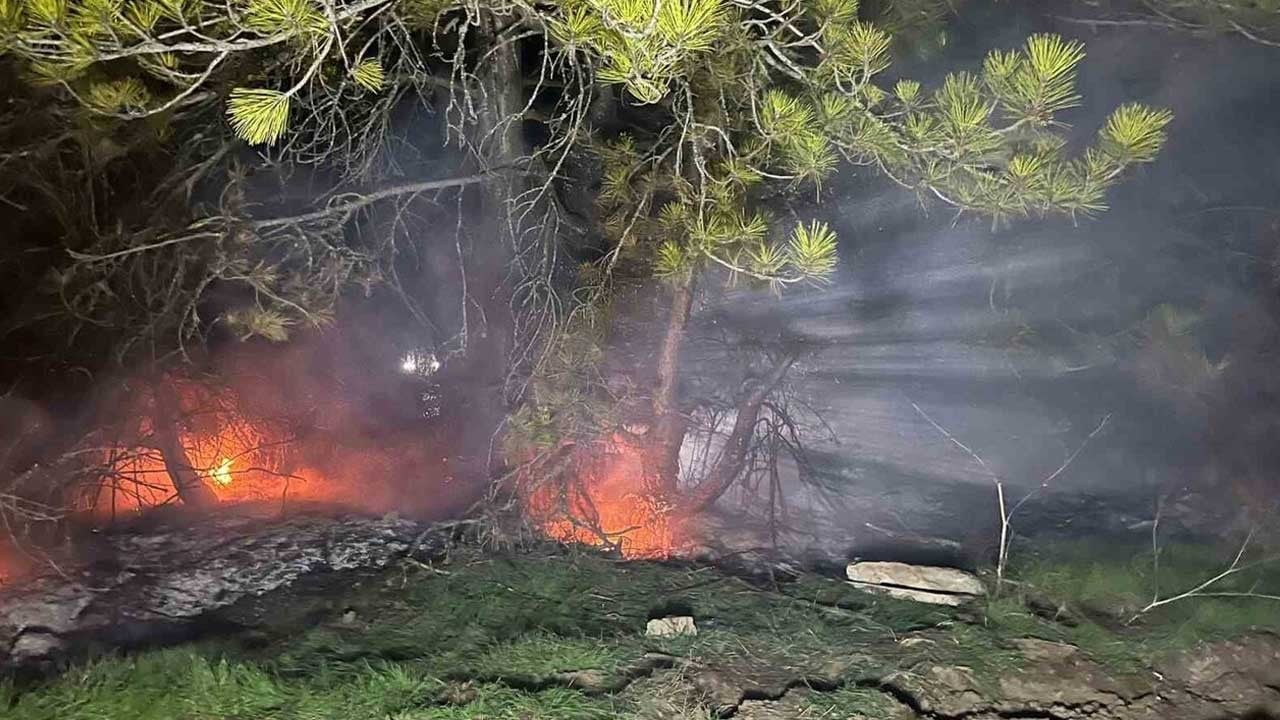 Bolu’da ormanlık alanda yangın çıktı
