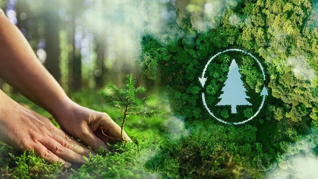 Bu haber Gezi zekalılara kapak olsun! Türkiye yeşile doyacak!