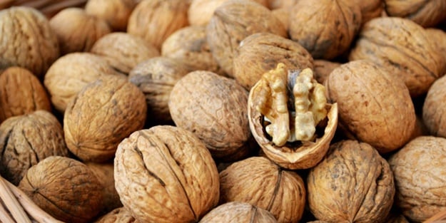 Bu ihale kaçmaz! TİGEM 20 ton ceviz satacak