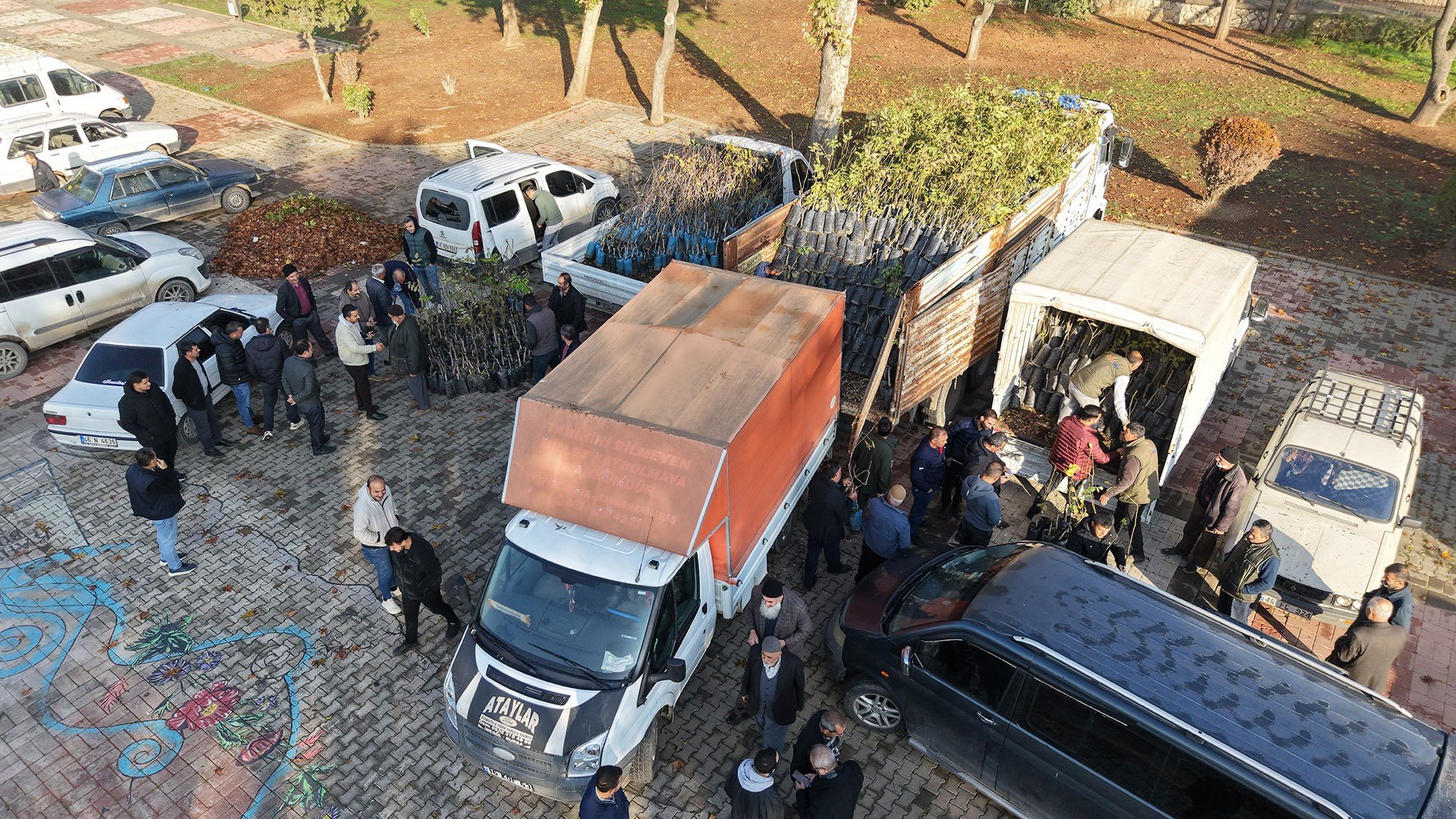 Büyükşehir’den Bin 500 Üreticiye 193 Bin Adet Fidan Desteği