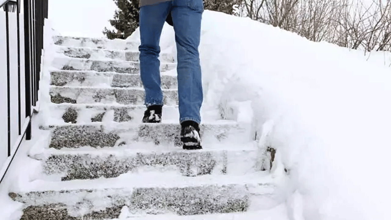 Buzda dans etmeyin! Ünlü profesörden hayat kurtaran yürüyüş taktikleri