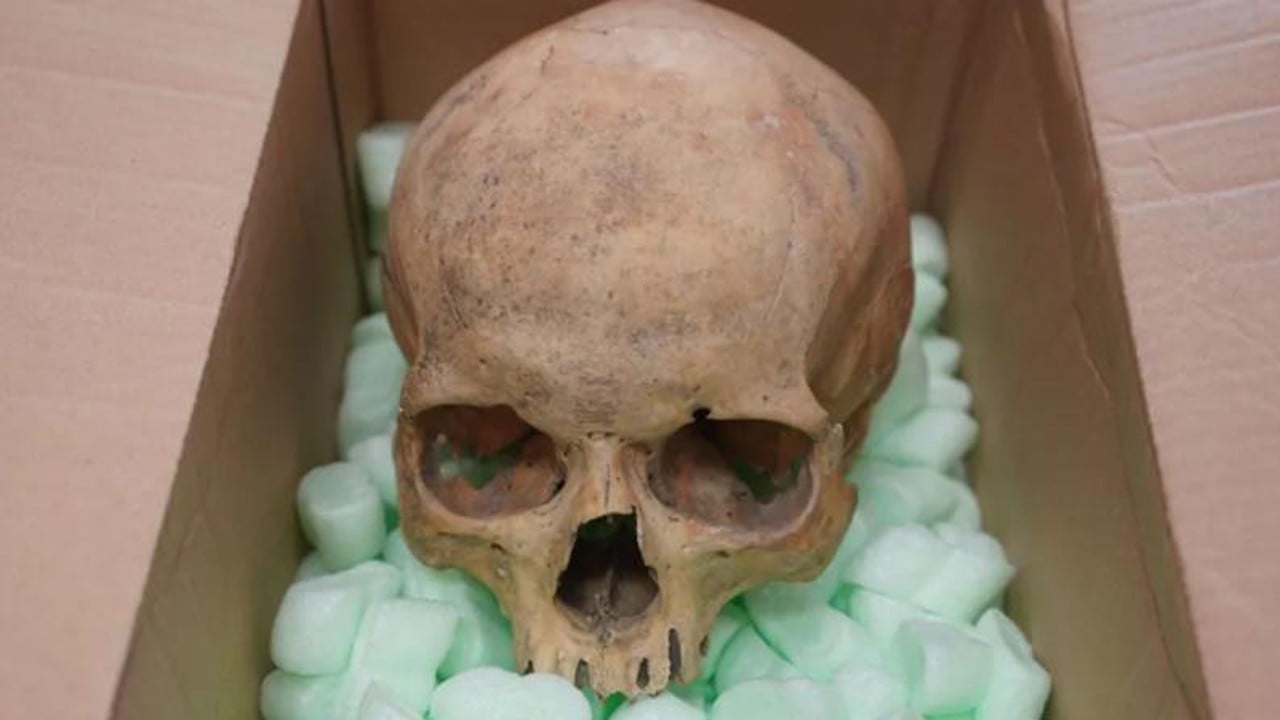Çaldığı kafatasını 60 yıl sonra iade etti