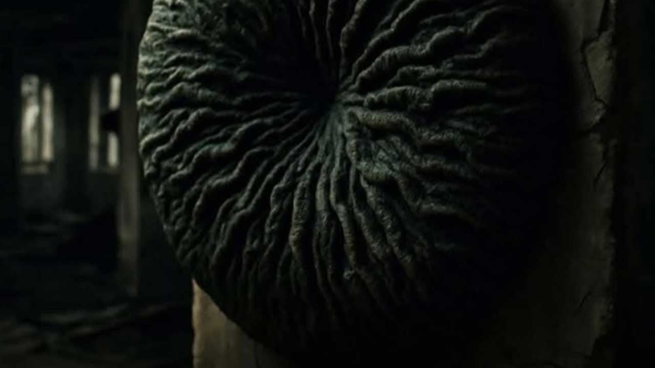 Çernobil'in radyasyon yiyen siyah mantarı insanlık için umut olabilir