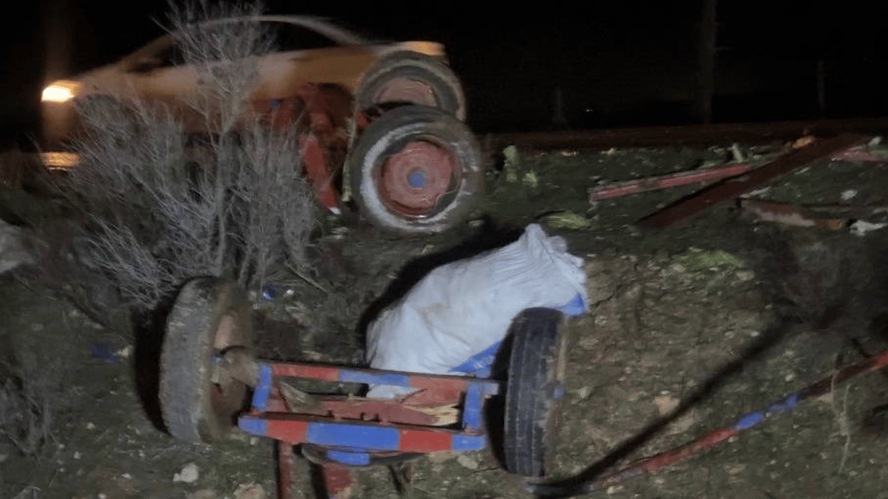 Ceylanpınar’da otomobil, at arabasına çarptı