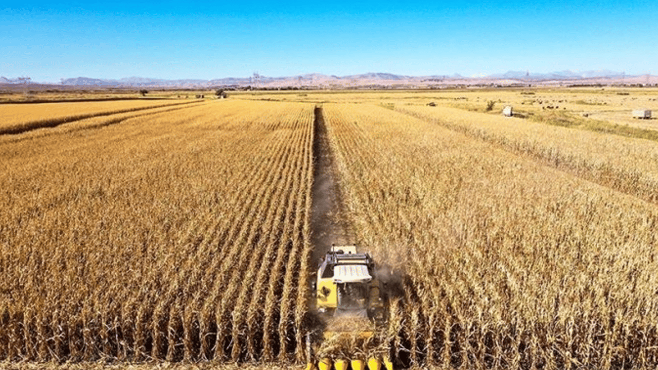 Çiftçilere tarımsal destekleme ödemesi yapılacak!