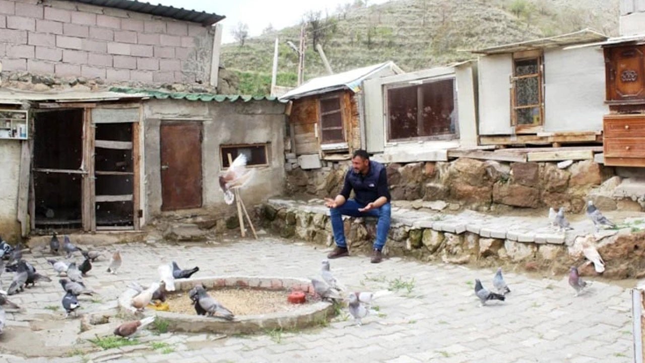 Çocuk gibi büyütüyor! Tek bir tanesini ev fiyatına satıyor