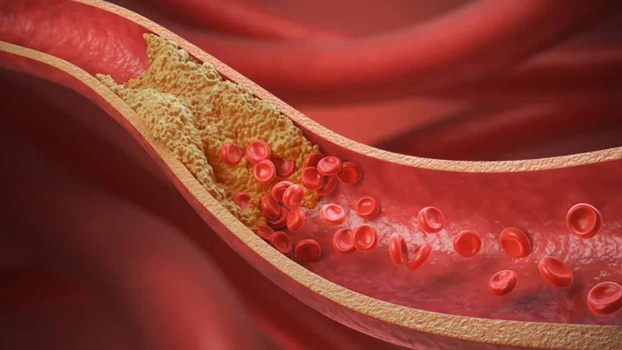 Damarları pırıl pırıl yapıyor, kalbi zırh gibi koruyor! Her gün bir avuç yiyen hastanenin yolunu unutuyor!