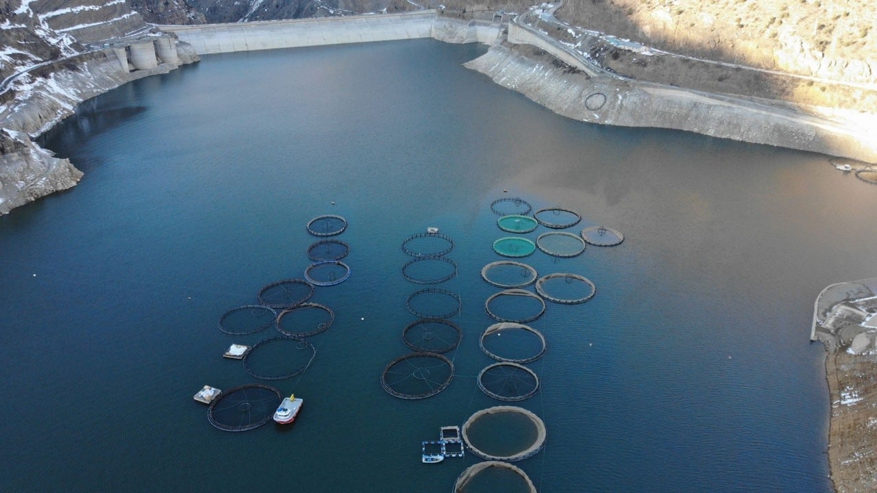 Denizi yok ama dünyaya balık gönderiyor! Yıllık üretim 2 bin ton