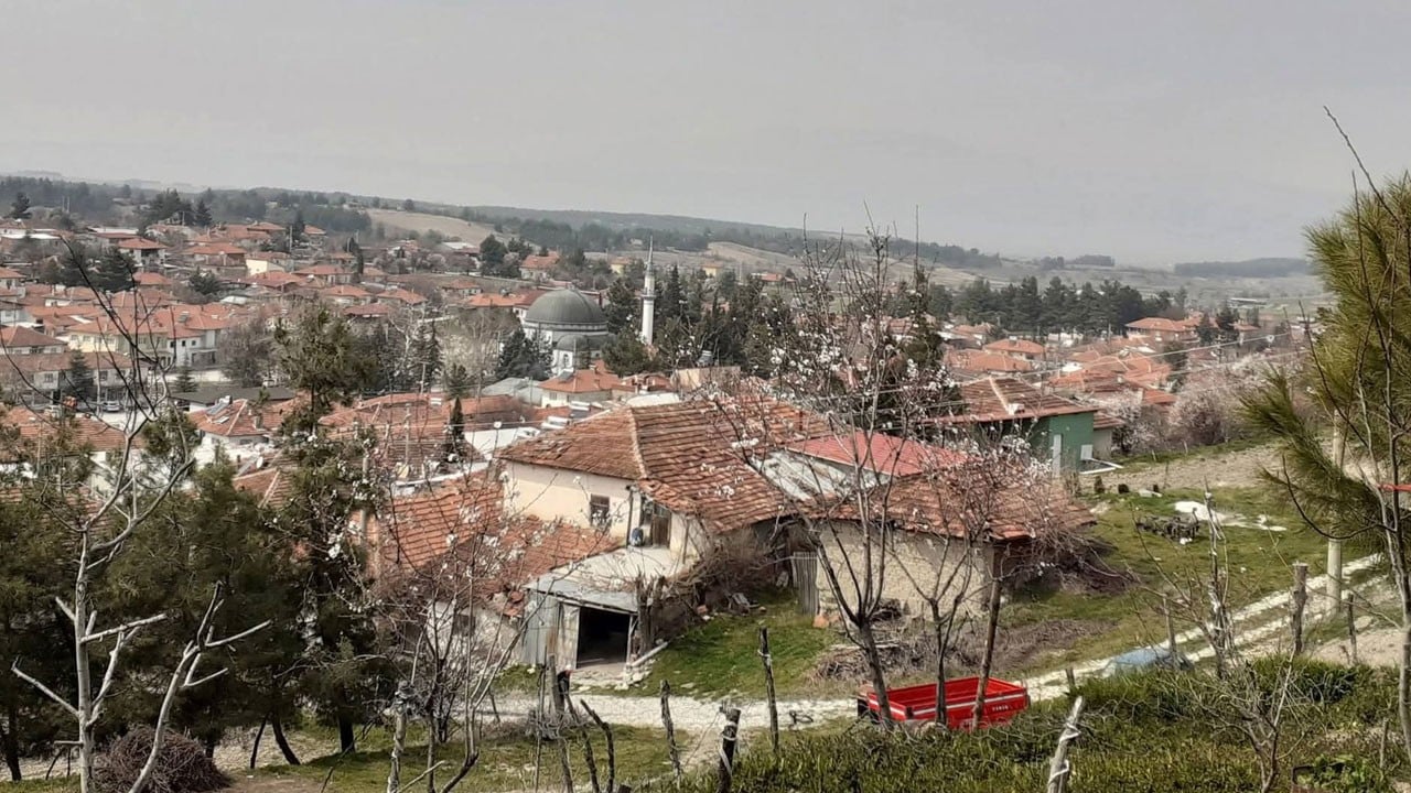Denizli de deniz varmış! Yolda yürürken buldu, milyonlarca yıllık çıktı