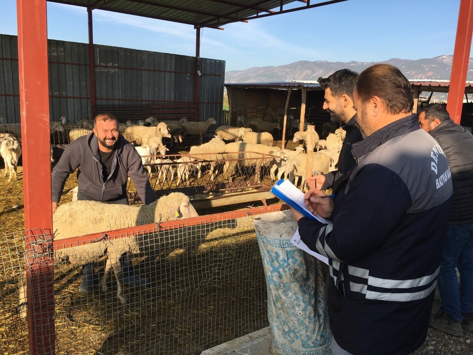 Denizli hayvancılığında 2025 zaferi