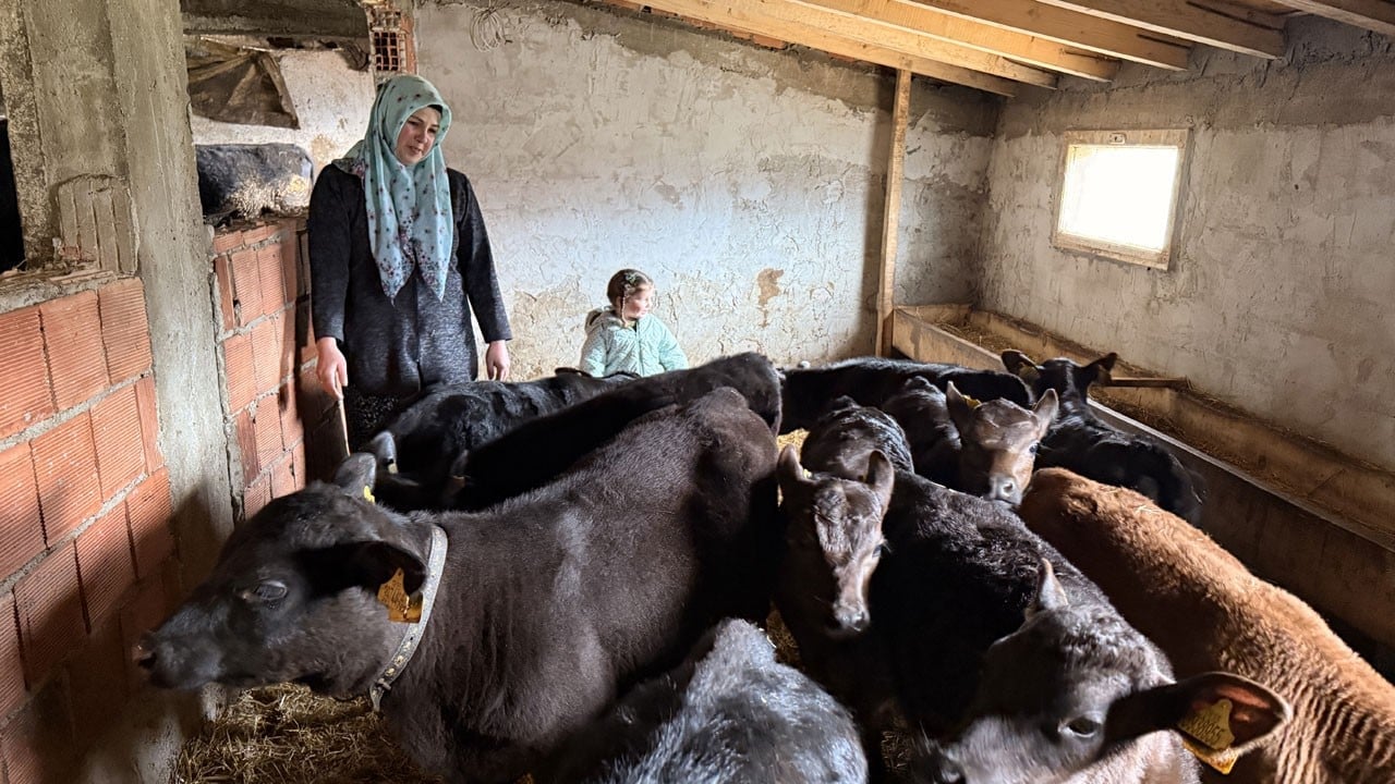 Devlet desteğiyle başladı, sürüsünü büyüttü!