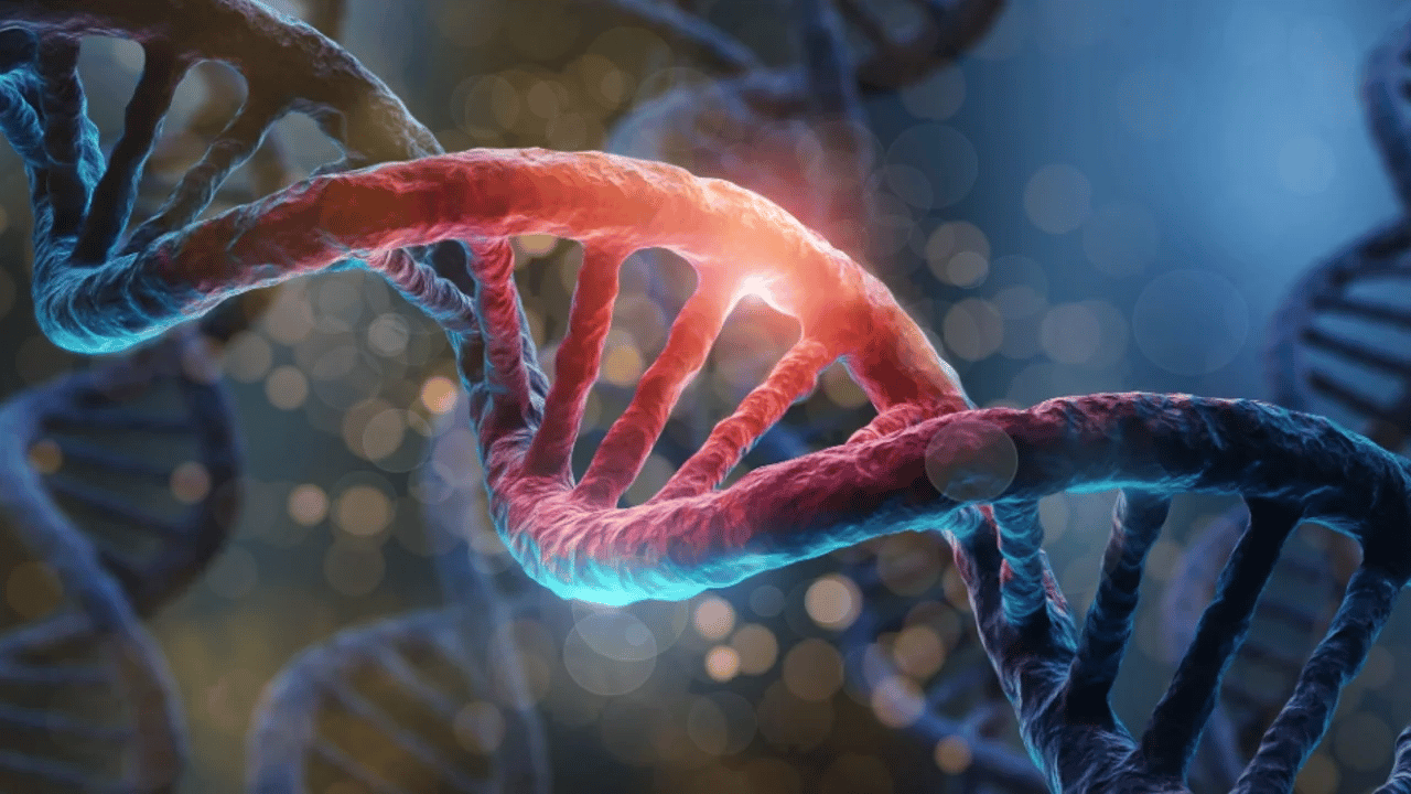 DNA labirentinde 'şahsiyet' izi!