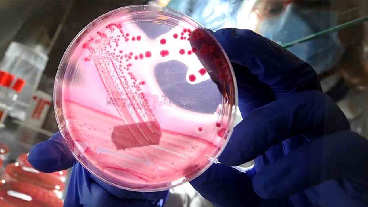 DNA sandığınızdan daha güçlü: Ömrün yarısı genlerden