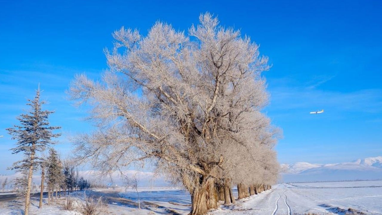 Doğu Anadolu buz kesti